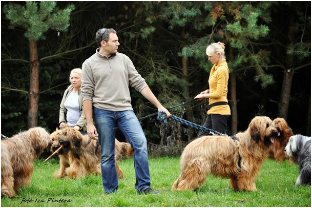 Zjazd hodowców psów rasy Briard